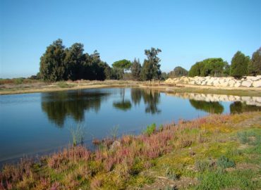 Botanico2