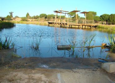 Botanico3